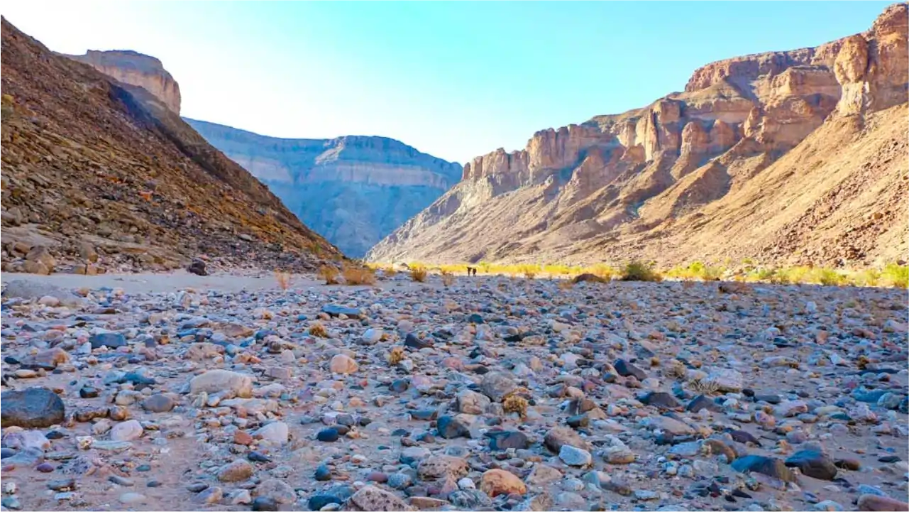 Trackless Wilderness